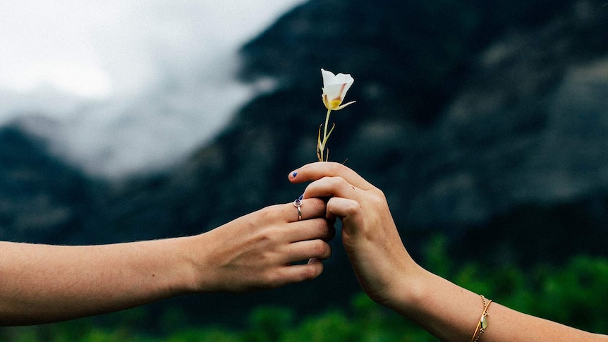 a delicate white flower being passed between two peoples hands