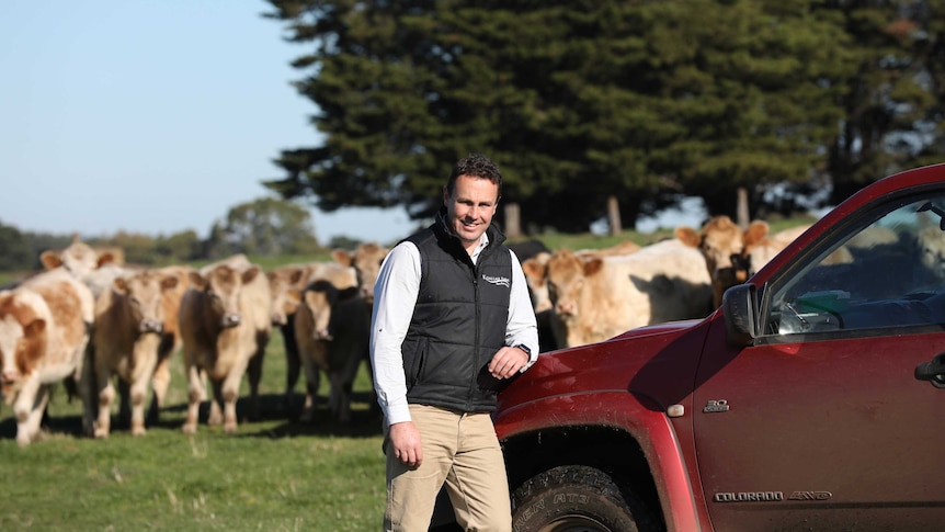 A well-dressed rural man leans against a ute, as a herd of beef cattle look on from their paddock.