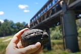A hand holding a metal grenade in front of a bridge.