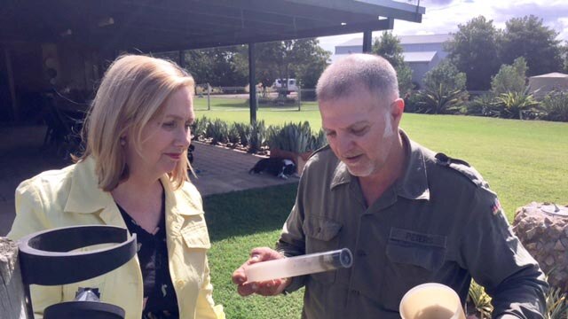 ABC weather presenter Jenny Woodward with cane farmer Phil Marano