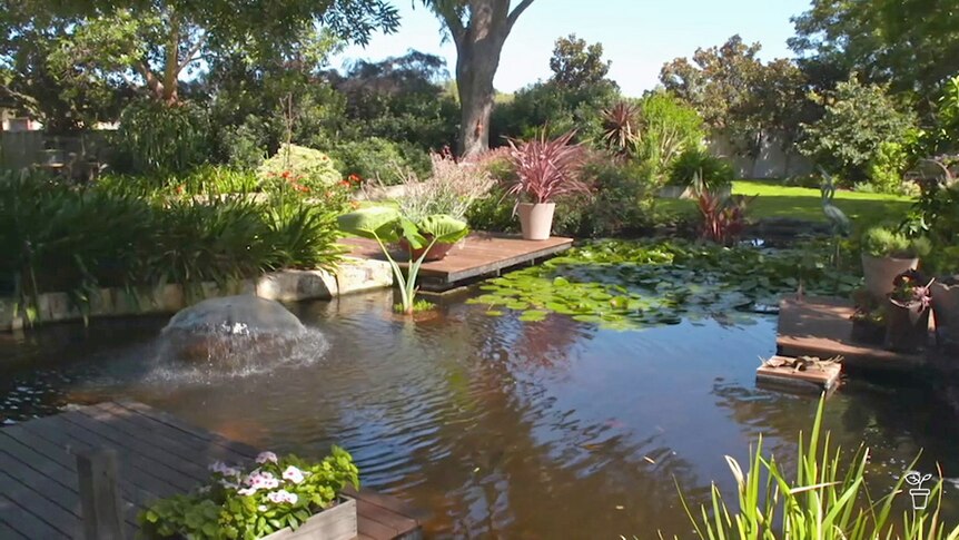 A family garden with a large pond in the centre.