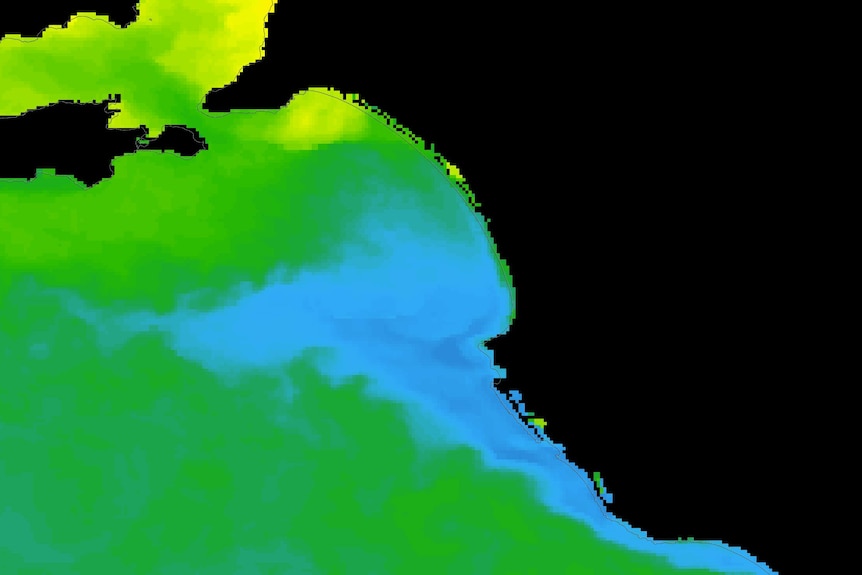 A satellite heat map of water temperatures around the coast of southern Australia. 