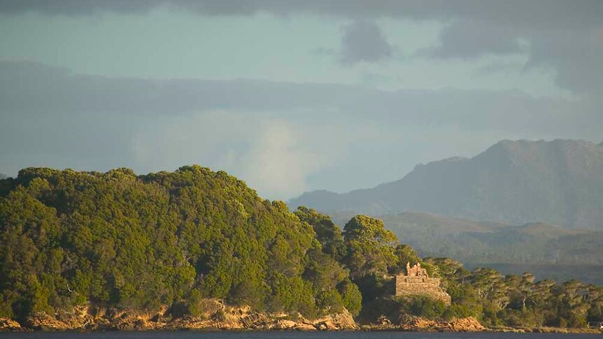 The shores of a forest-covered island that sits within a harbour.