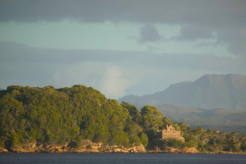 The shores of a forest-covered island that sits within a harbour.