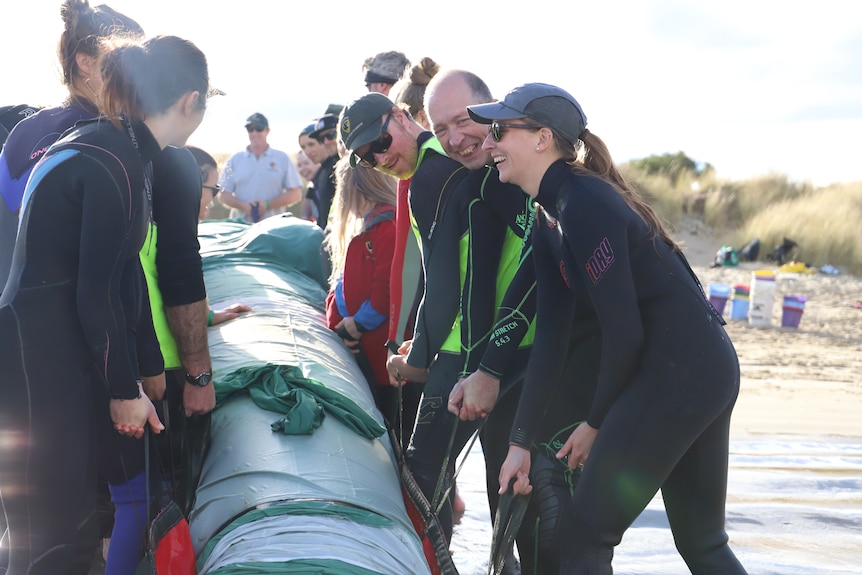 People in wetsuits laugh as they lift a giant inflatable whale on the beach.