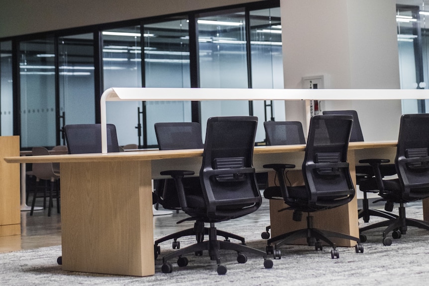 A row of black office chairs at timber desks in an office.