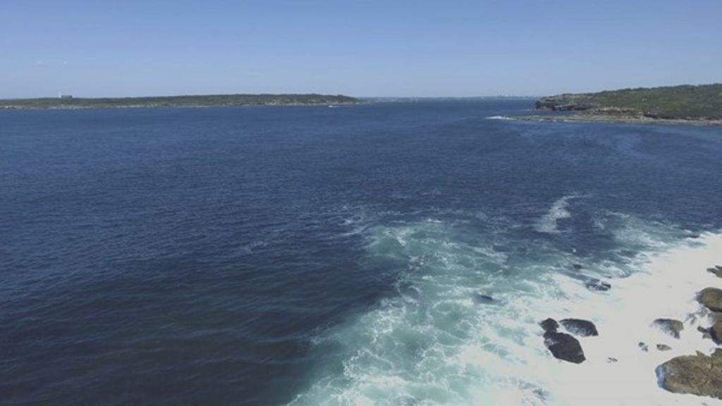 Gamay Rangers: Indigenous rangers share unique knowledge of Botany Bay ...