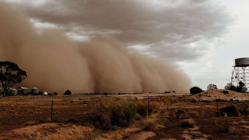 A dust storm rolls into Coonable.