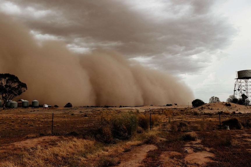 A dust storm rolls into Coonable.