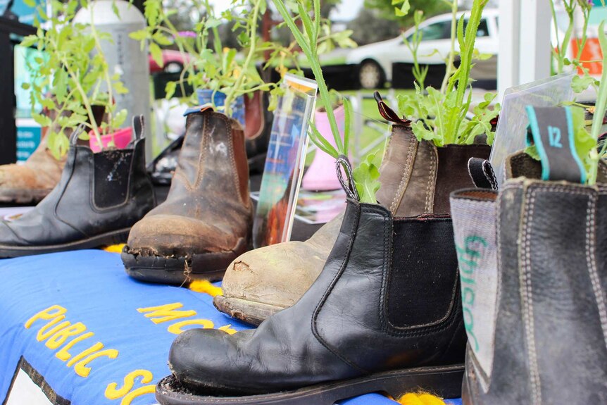 Boots on display at the Moruya farmers market Boots for Change day