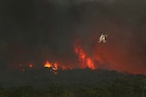 A fire-fighting helicopter approaches an out of control bushfire in the Bunyip State Park