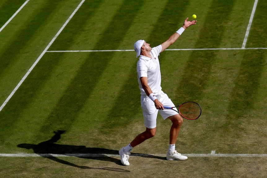A male tennis player throws a ball in the air on a grass court