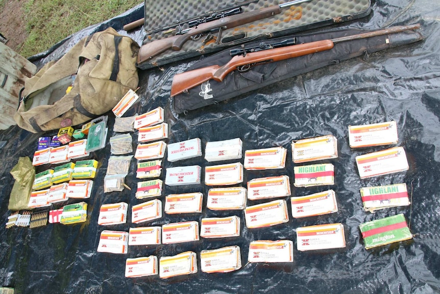 Bullets and rifles are laid out on a plastic sheet