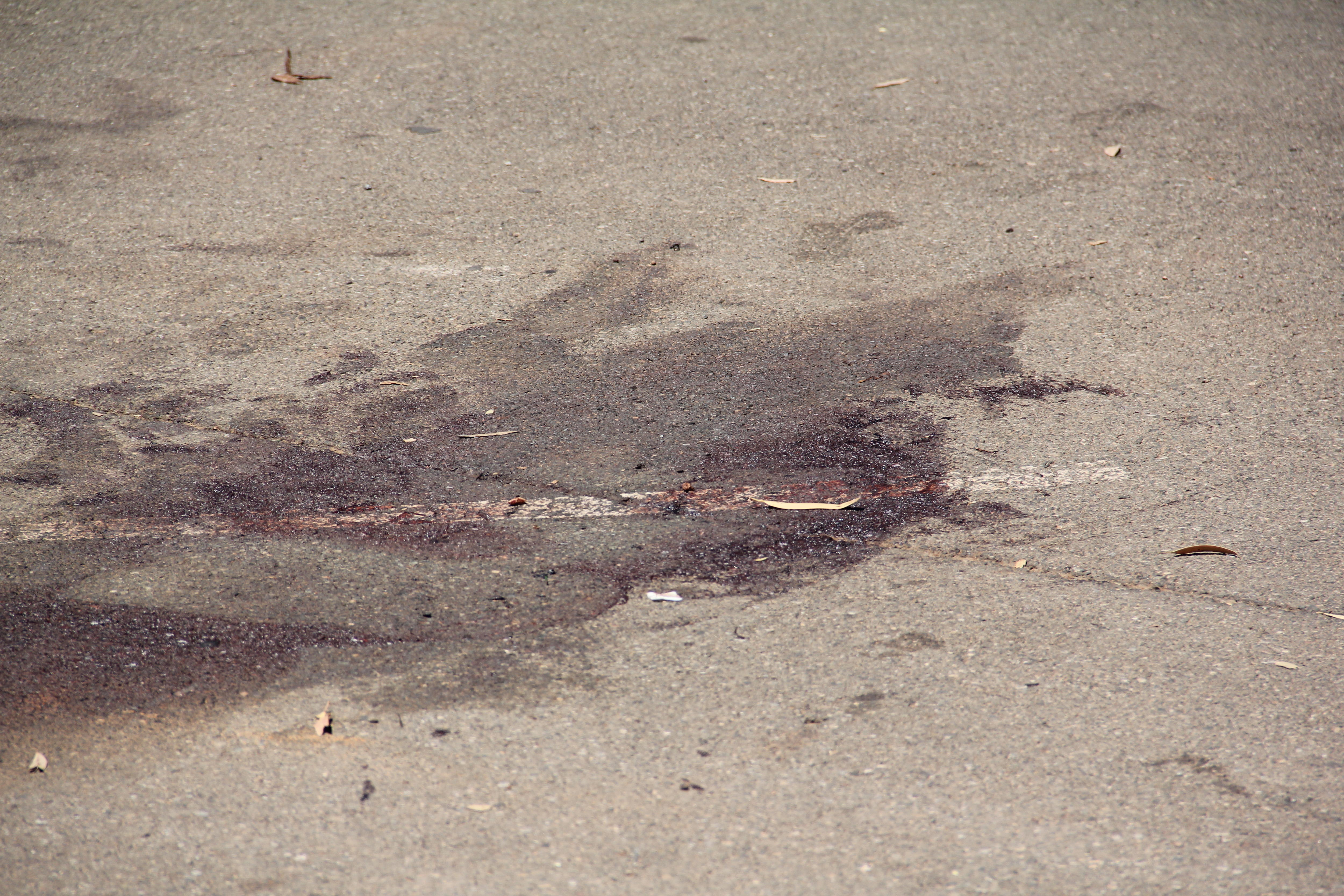 A blood stain on the road.