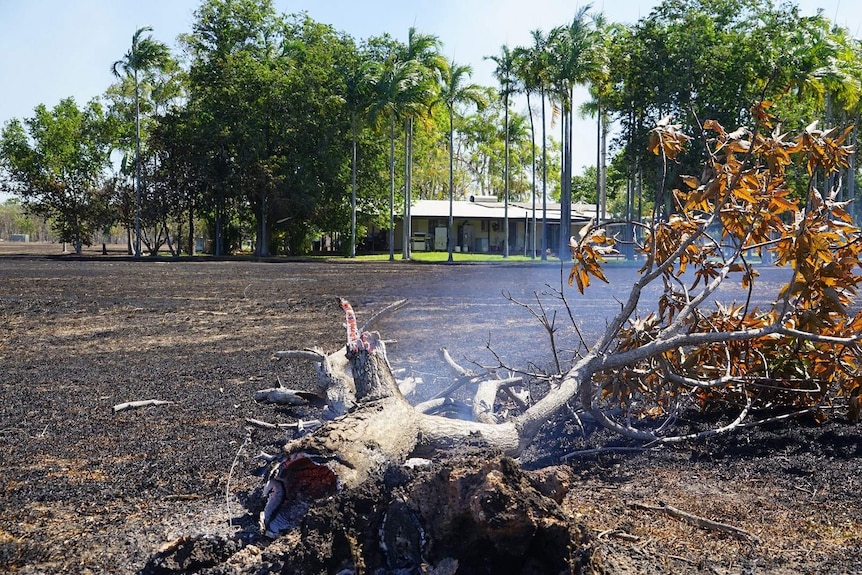 A burning log is seen smouldering about 50 metres away from a rural home outside of Darwin.