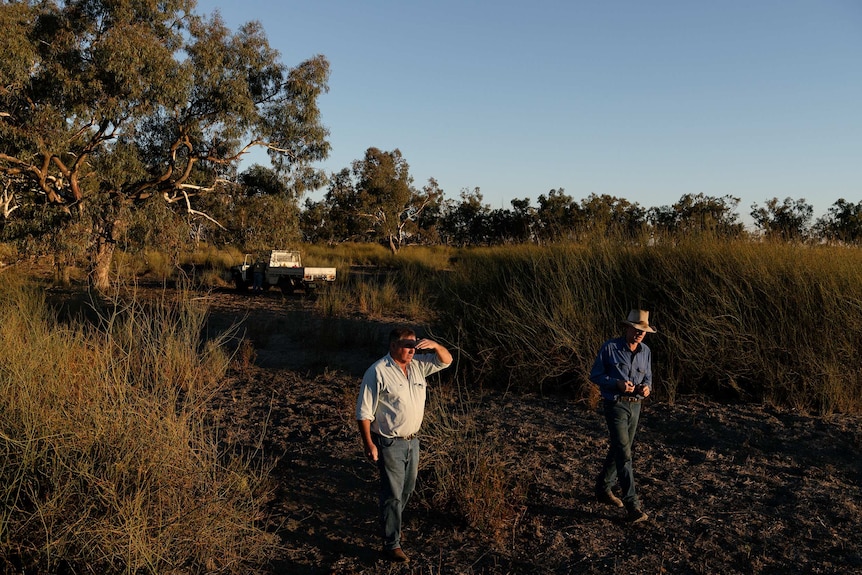 Two men walk through a wetland.