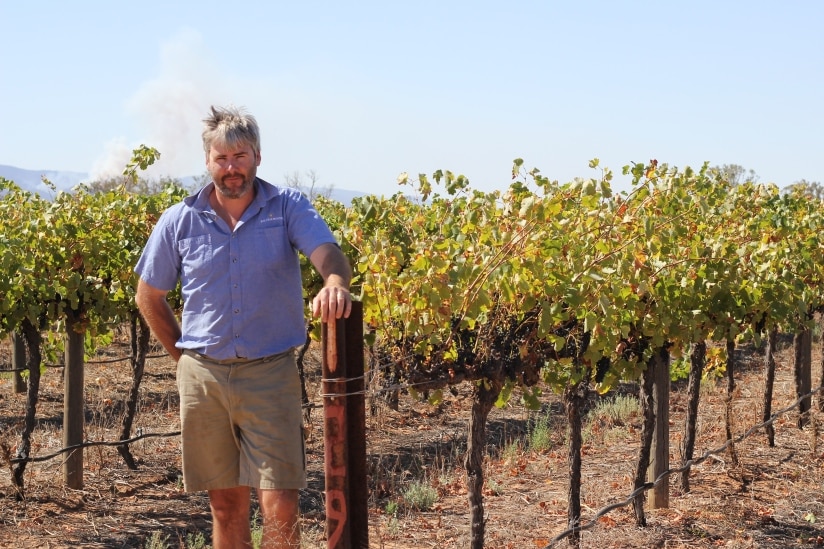 Clare Valley Wine Grape Growers Association President Troy Van Dulken