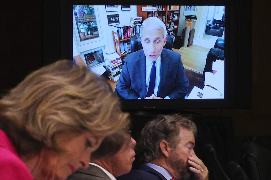 Dr Anthony Fauci appears via video on a television.