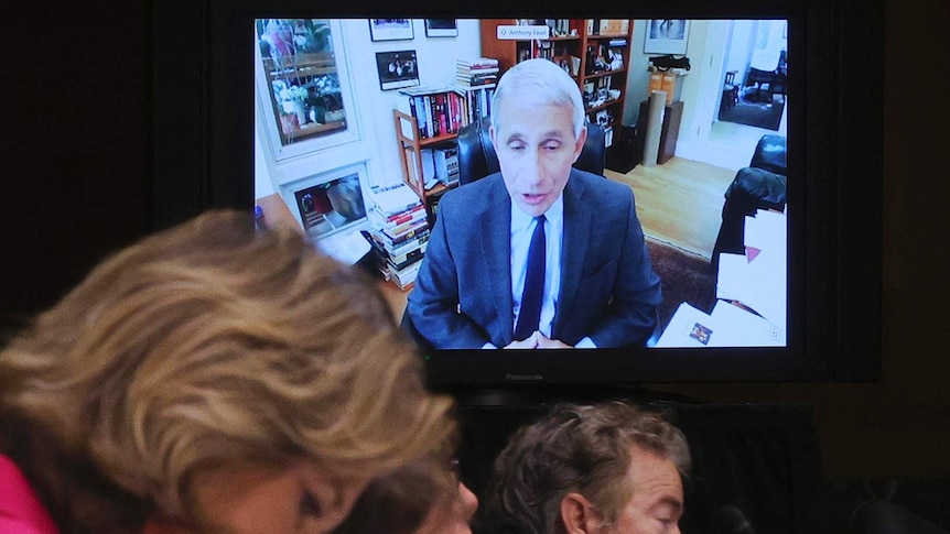 Dr Anthony Fauci appears via video on a television.