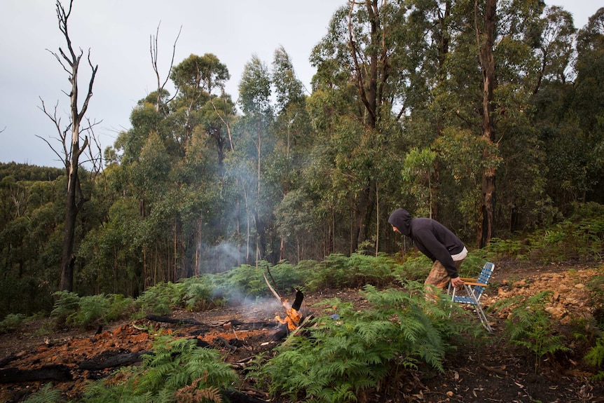 A young man in a hoodie pulls up a folding chair to sit by a campfire burning in a clearing, eucalypt regrowth and ferns behind.