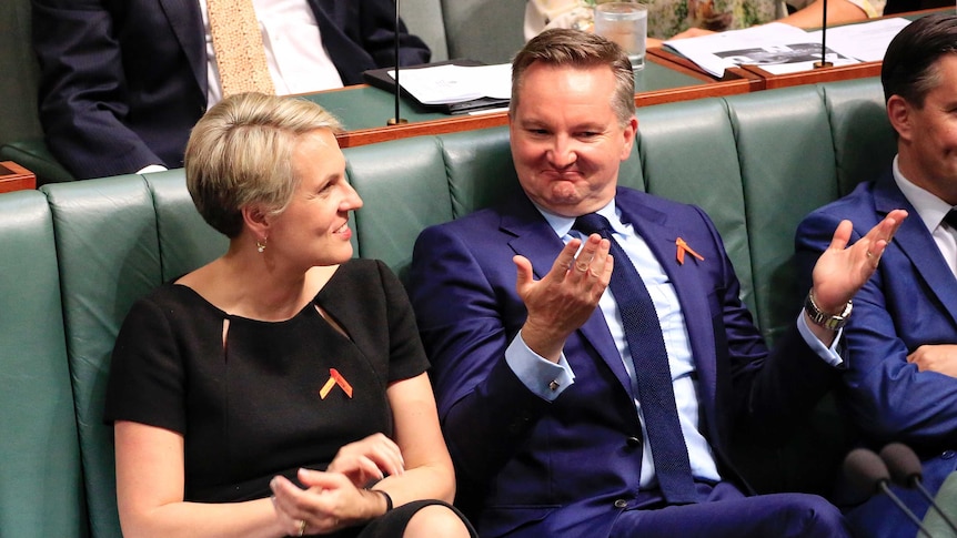 Deputy Opposition Leader Tanya Plibersek and Chris Bowen sit together wearing orange/red ribbons during Question Time