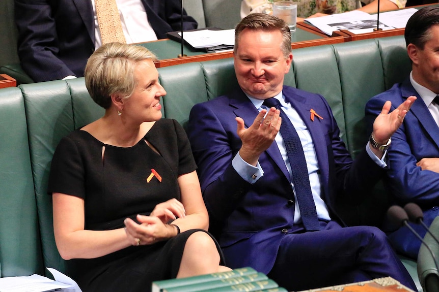 Deputy Opposition Leader Tanya Plibersek and Chris Bowen sit together wearing orange/red ribbons during Question Time