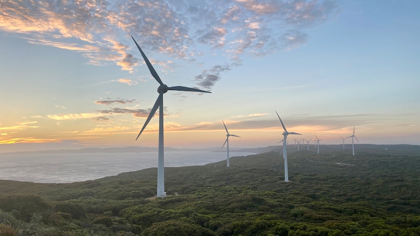 Wind farms at dusk with the sun setting behind them on the coast line