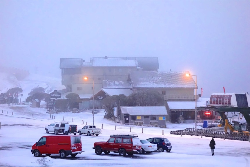 snowy building and cars