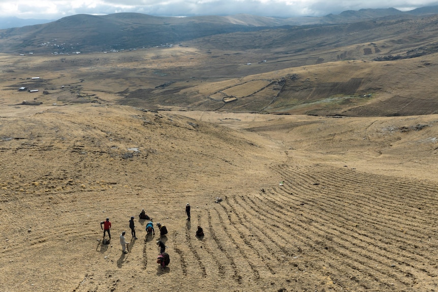 A group of farmers work on rows of soil. Hills of brown grass and mountains in the distance fill most of the image. 