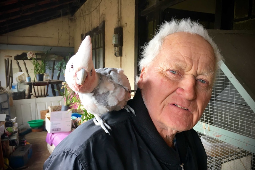 Leo Page has kept birds all his life