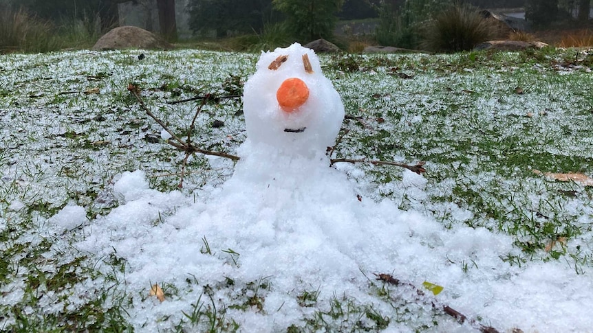 Tiny little snowman sitting on a slightly snow covered lawn where the grass can defiantly still be seen though.