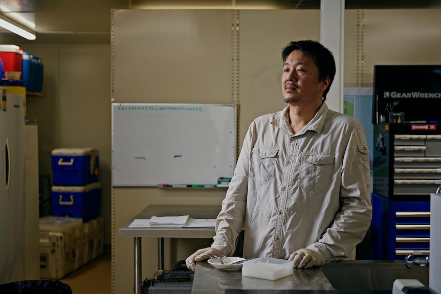 Dr Yusuke Fukuda stares across a research lab.