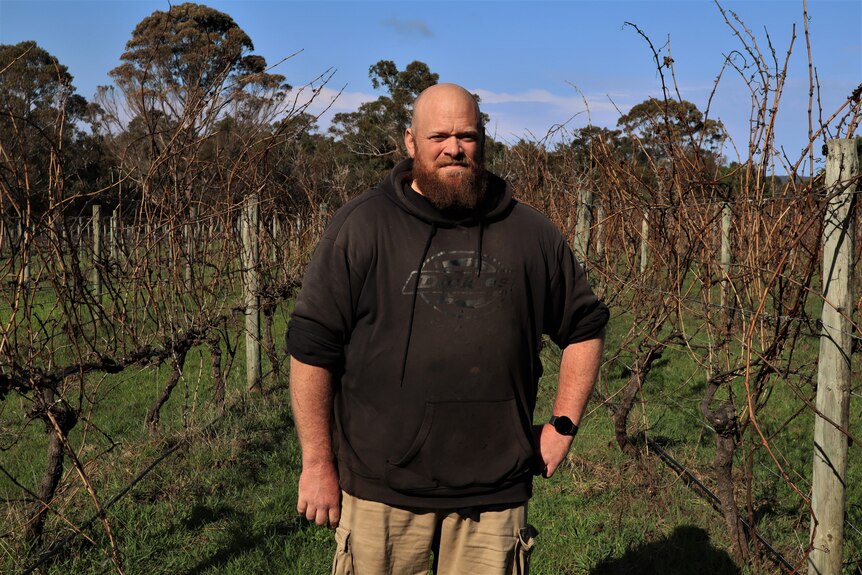 Man standing in front of a vineyard about to be pruned.
