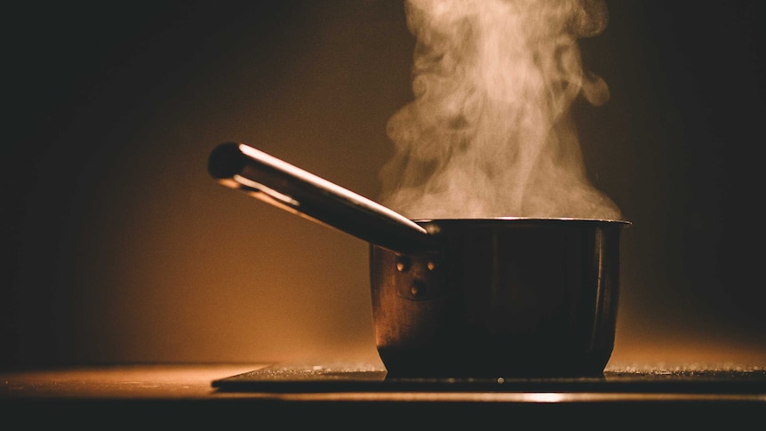 Cooking pot on induction stove with steam rising