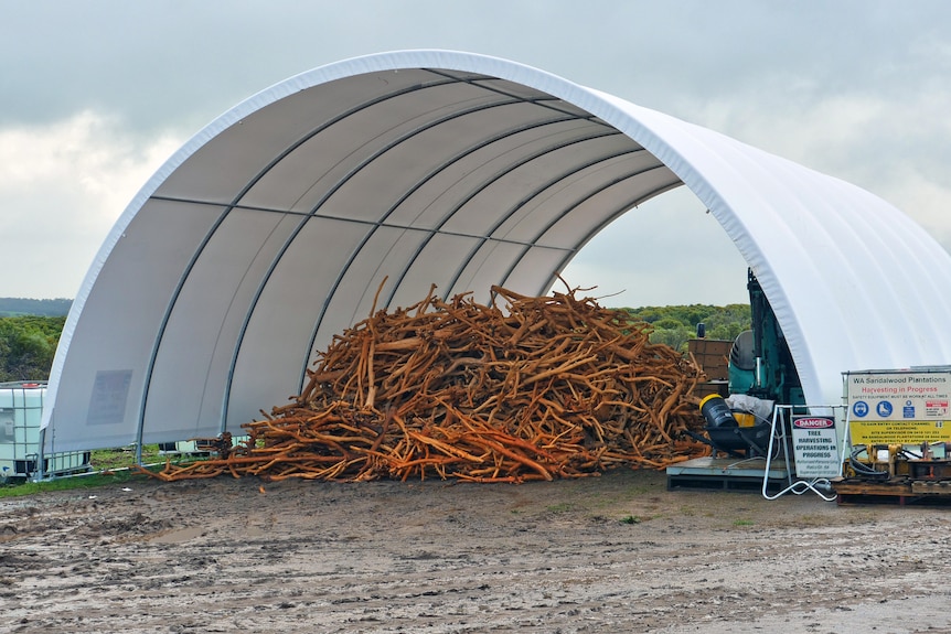 A pile of logs sit under a white dome.