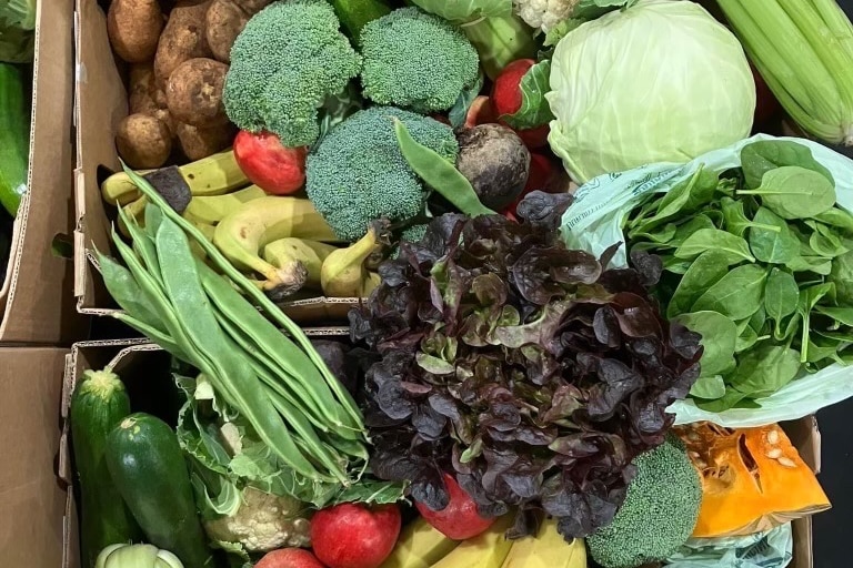 A cardboard box full of vegetables, cabbage, broccoli, potatoes, zucchini, pumpkin, lettuce, beetroot, bok choy, snow peas.
