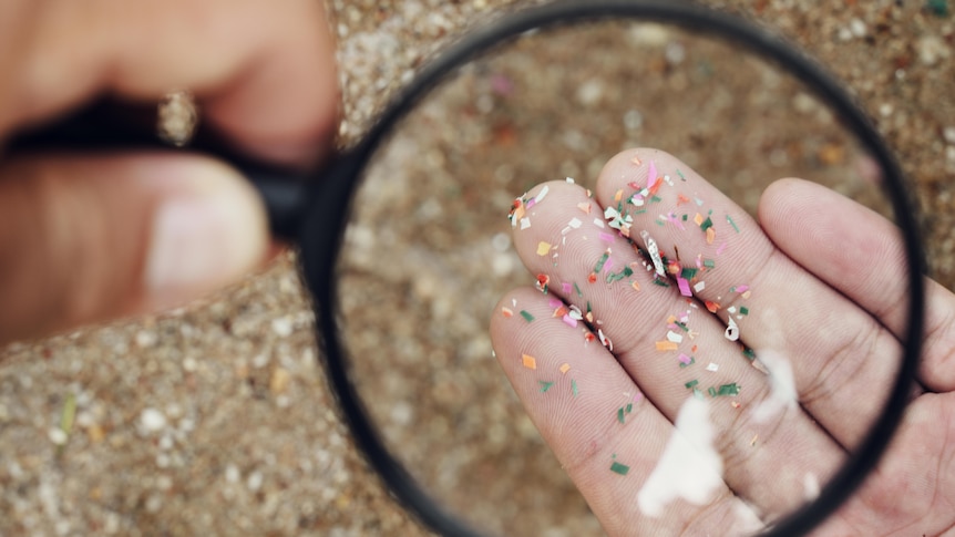 A close up image of flecks of coloured plastic pollution on a person's fingertips. 