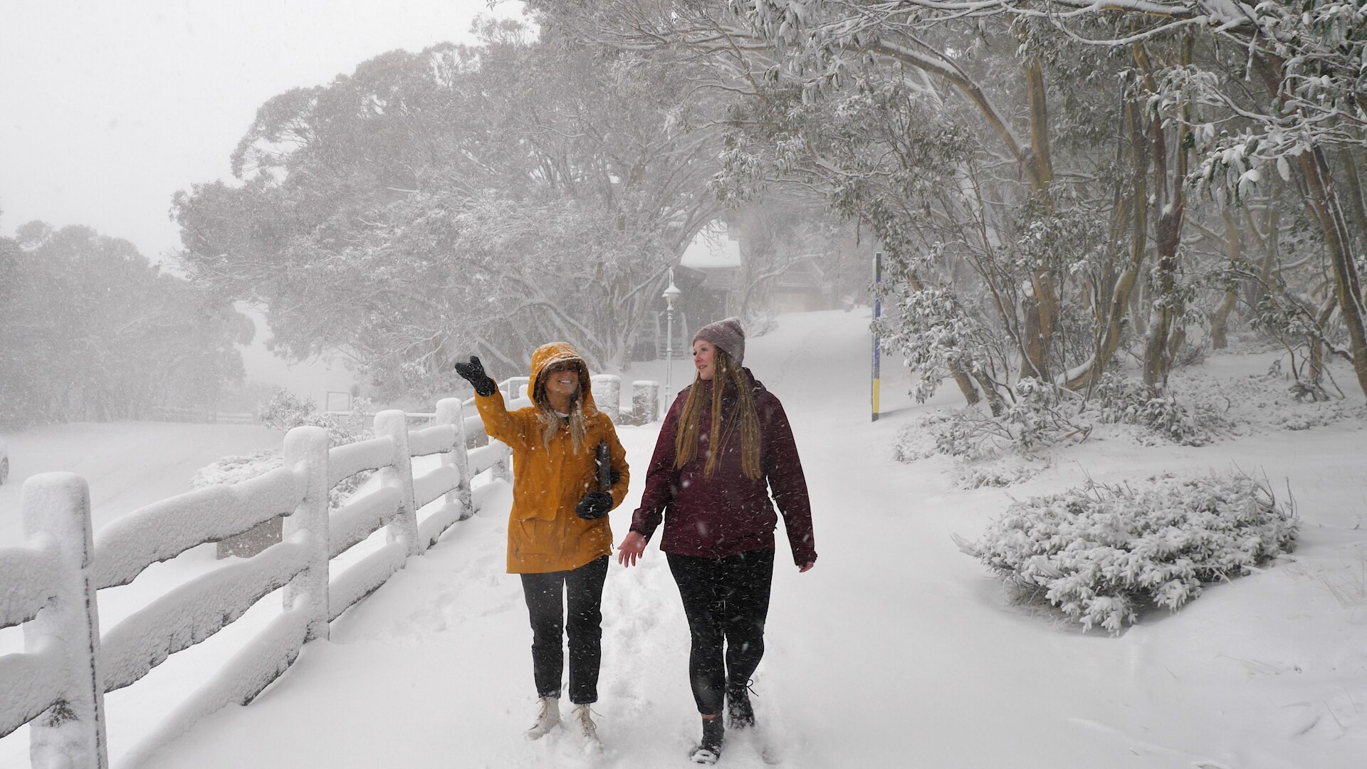 No longer 'Melbourne's mountain': Mt Buller struggles, as many regional businesses welcome eased ...