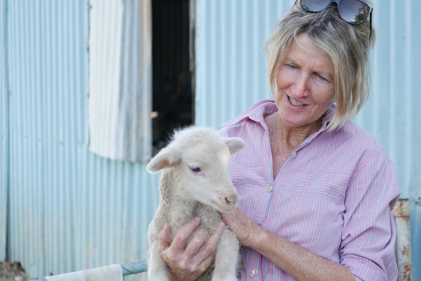 A woman, in a pink shirt, holds a poddy lamb