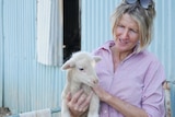 A woman, in a pink shirt, holds a poddy lamb