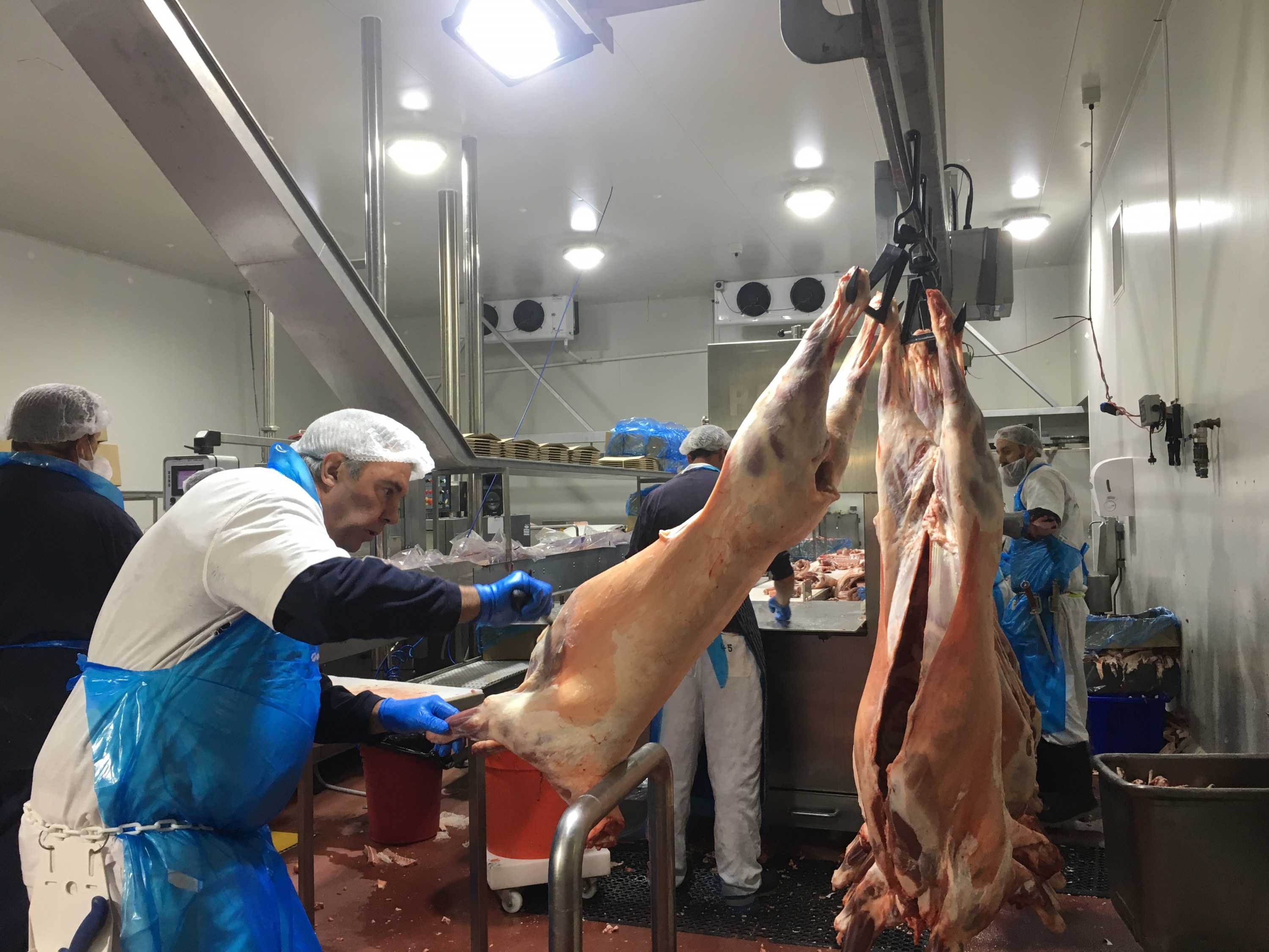a worker carves fat off a lamb carcase