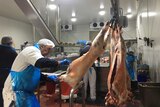 a worker carves fat off a lamb carcase