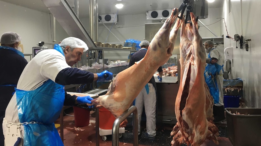 a worker carves fat off a lamb carcase