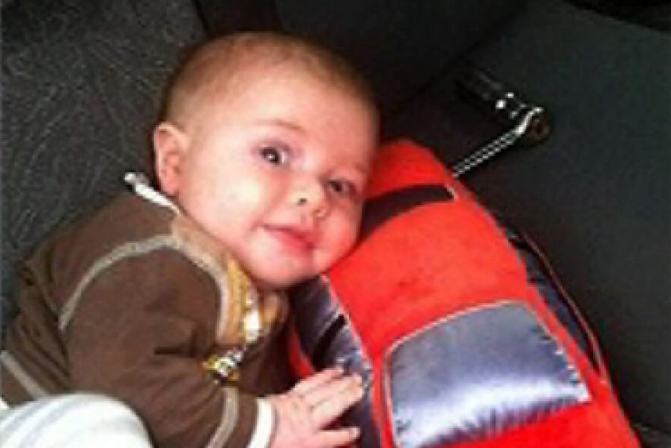 Butterflies lay the groundwork for renewal in Victorian playground