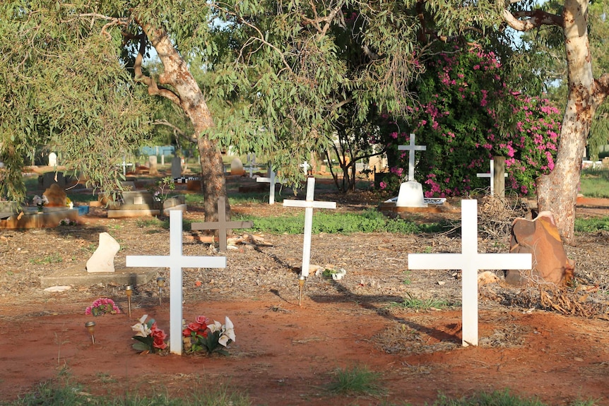 white crosses in a cemetery