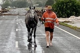 Man in orange top leads a horse down a road affected by floods