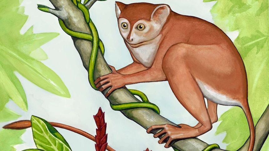 Artist's impression of world's oldest primate