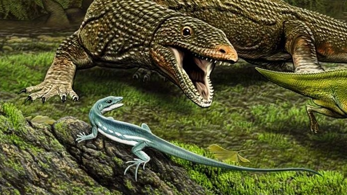The lizard, Obamadon (foreground), named after President Barack Obama.