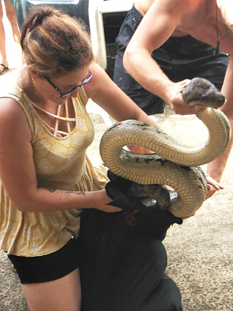 Two people wrangle a large python into a bag