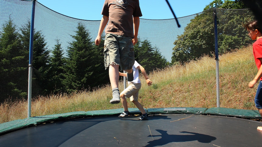 Newer style trampoline with net generic